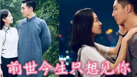 禁欲顾总带崽抢婚,甜蜜宠溺解锁幸福密码