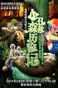 森林小丑,揭秘森林中的神秘喜剧大师