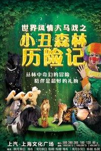 森林小丑,揭秘森林中的神秘喜剧大师