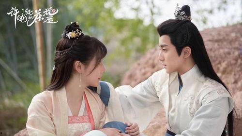 许纯纯的茶花运,邂逅浪漫茶香之旅