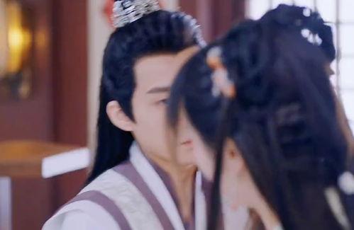 许纯纯的茶花运,邂逅浪漫茶香之旅