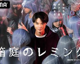 箱庭的旅鼠,探索心灵深处的生存之旅