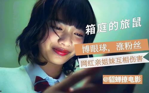 箱庭的旅鼠,探索心灵深处的生存之旅