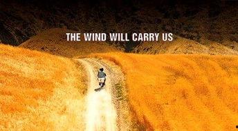 随风而逝,岁月流转中的记忆碎片