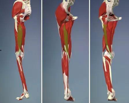 団鬼六绳与肌,探寻神秘绳艺与神秘肌力的传奇故事