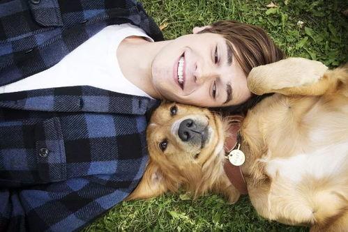 冷漠老公成了悲伤小狗,一段感人至深的情感转变