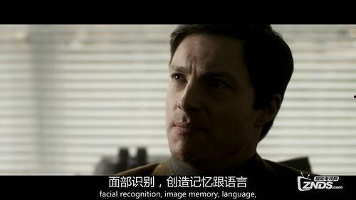 威廉泽罗的重建,重构历史,探索未知世界的奥秘